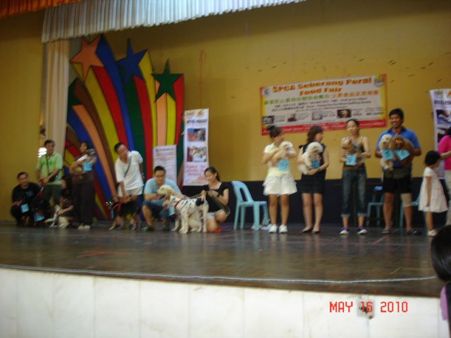 Pertandinga anjing sihat di karnival SPCA di Bukit Mertajam pada 16-5-2010